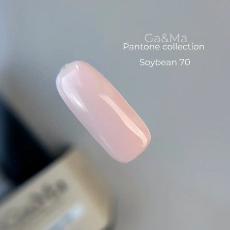 Pantone collection 070 Soybean