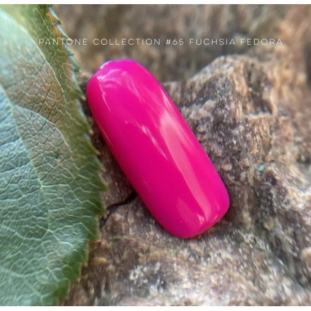 Pantone collection 065 Fuchsia Fedora